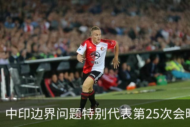 中印边界问题特别代表第25次会晤达成8点成果共识